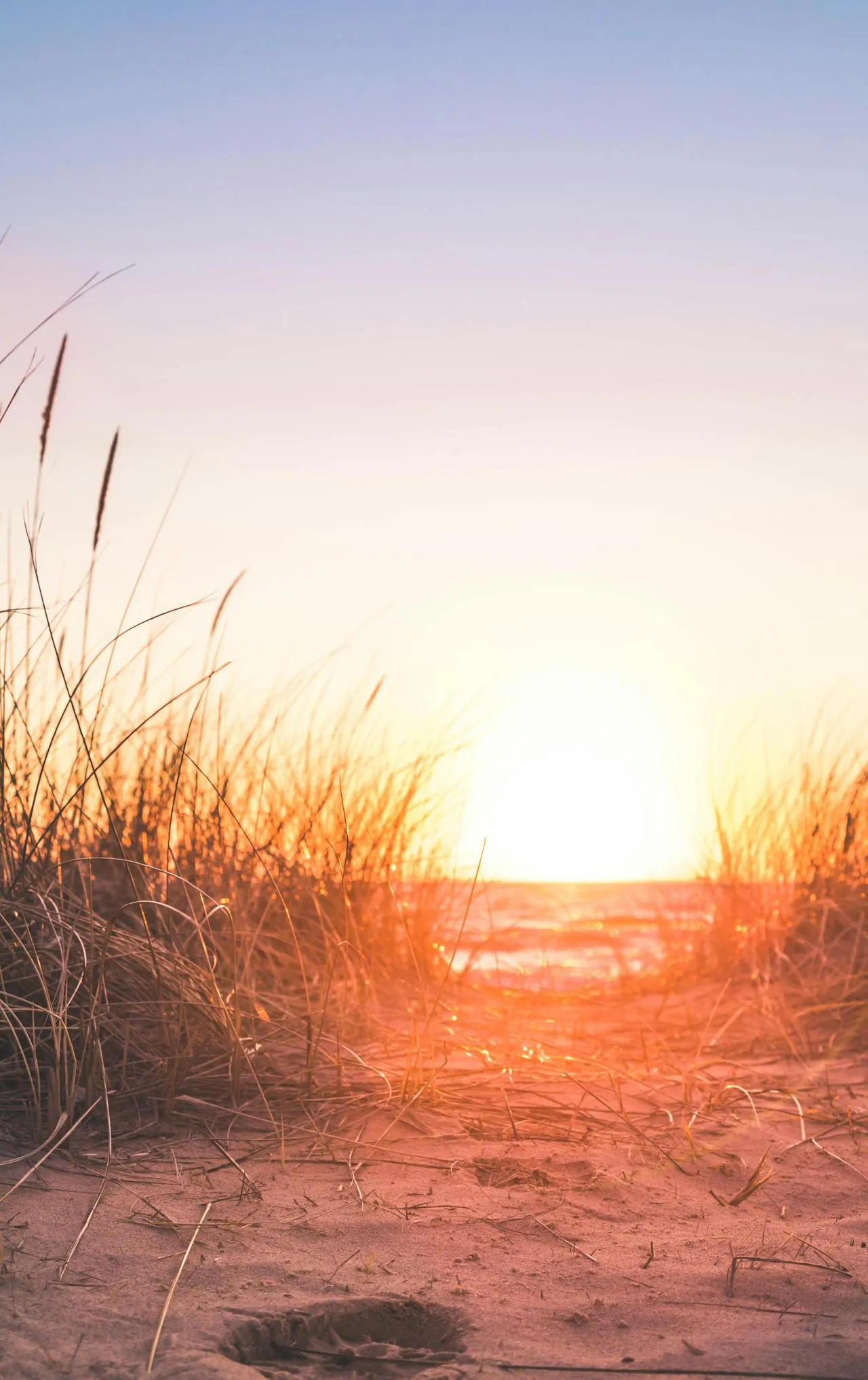 Stunning sunrise over the coast at East Cape Gisborne New Zealand