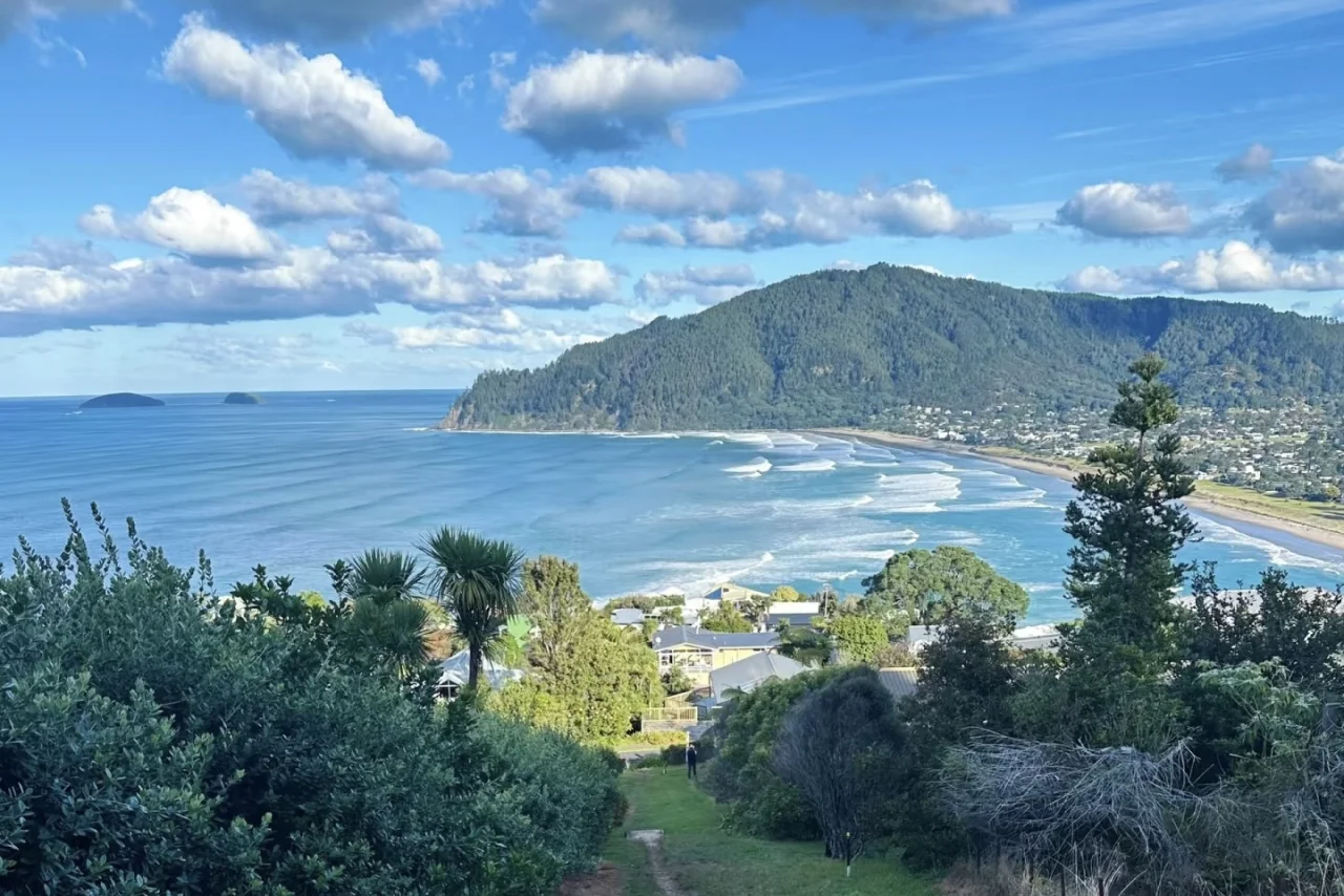 Panoramic view of a sweeping bay with surf beach and forested headland in Timaru South Canterbury New Zealand