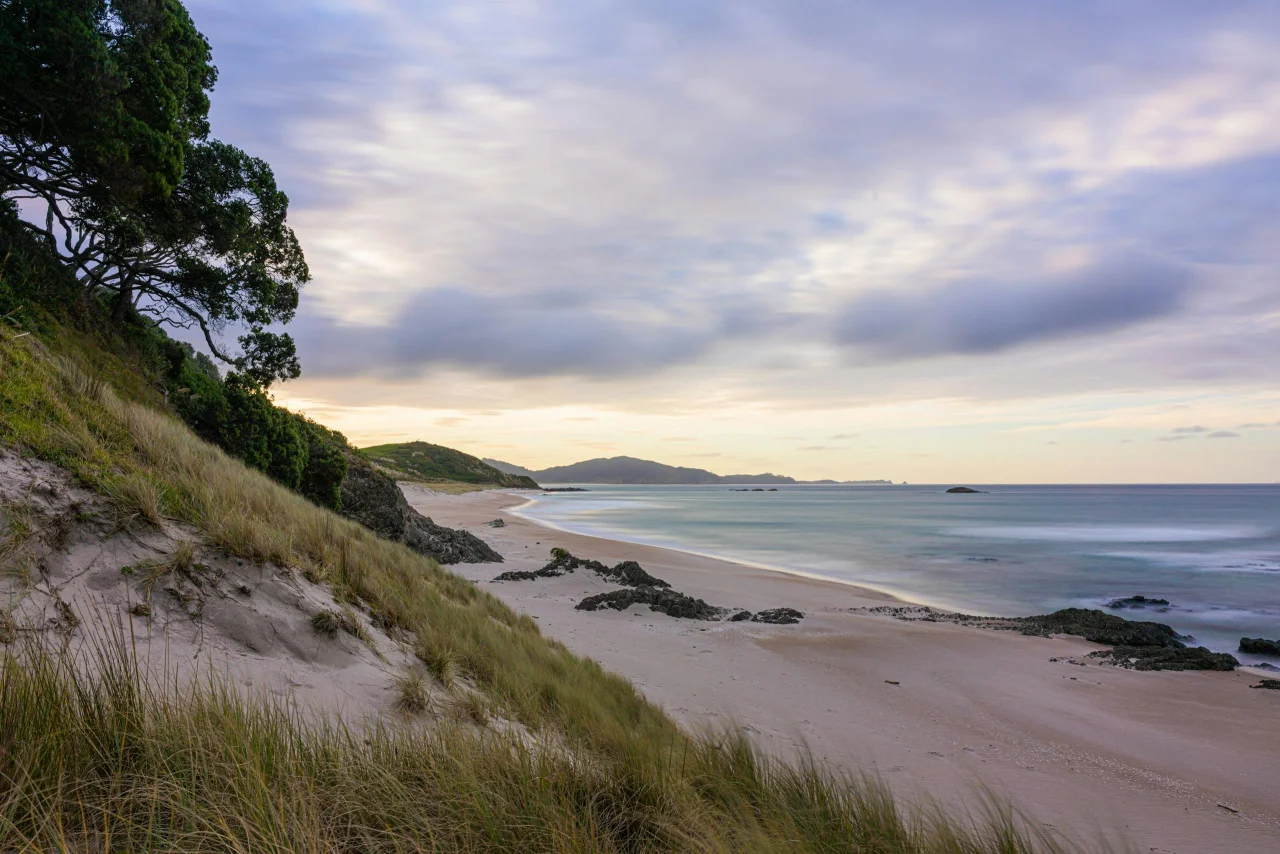 Dramatic volcanic mountain rising beside a golden beach at Whangarei Heads on the Northland coast of New Zealand