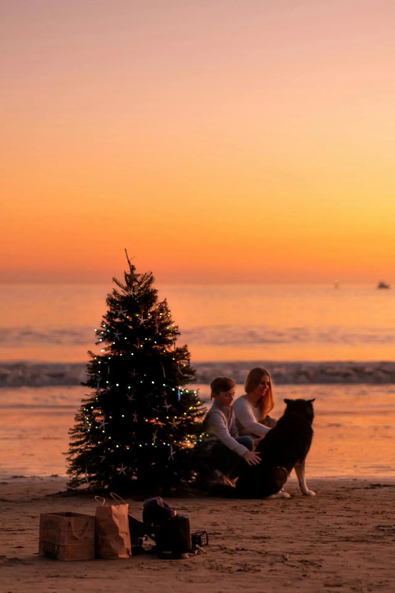 Decorated Christmas tree on a sandy beach at sunset celebrating a Southern Hemisphere summer Christmas in New Zealand